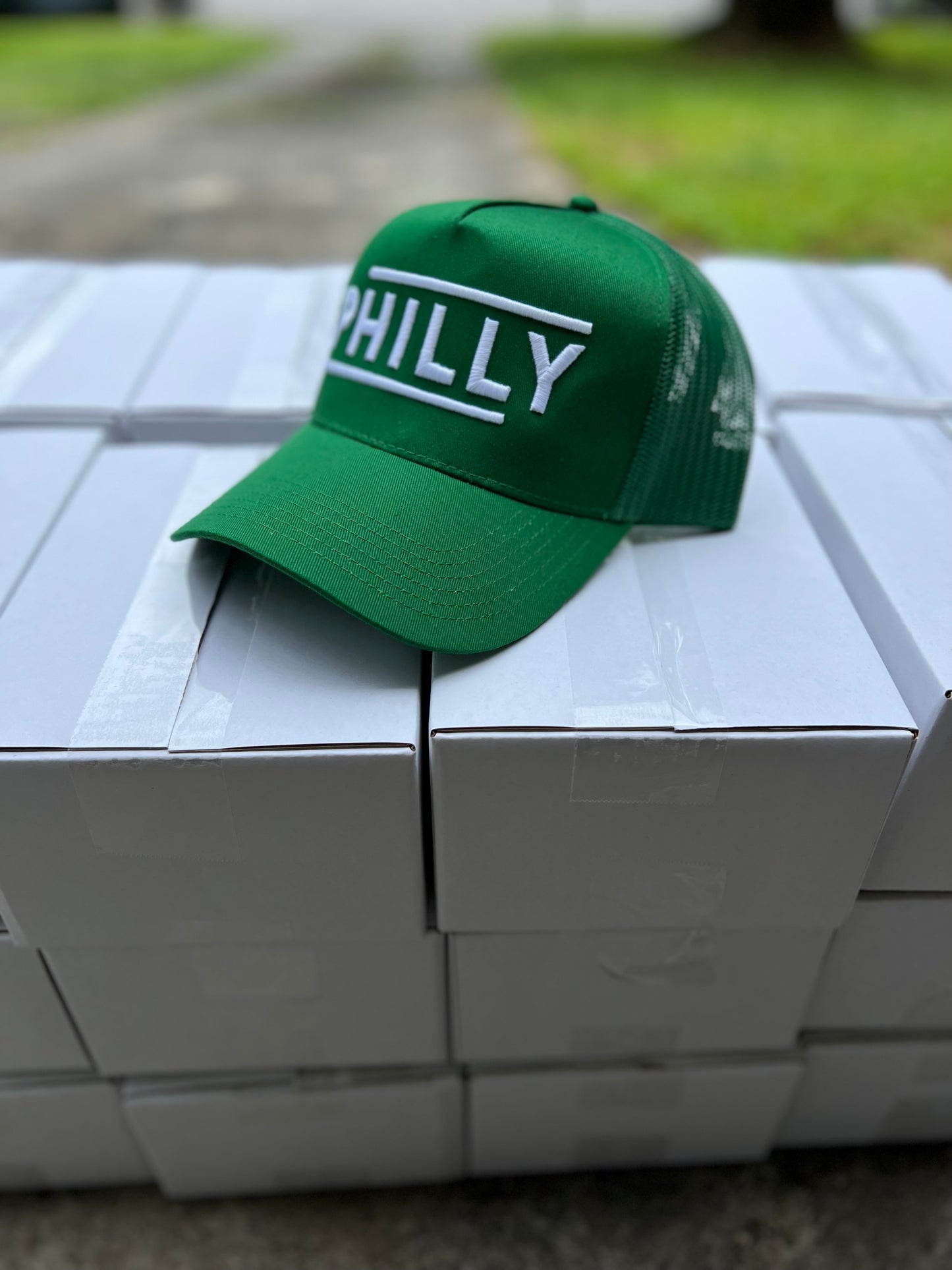 "The System": Philly 3D Hat